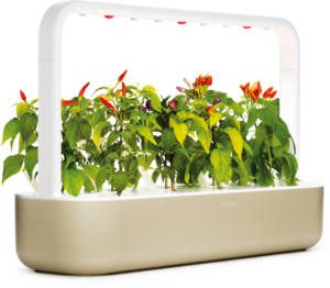 grow smart garden email earn enter address via unique link